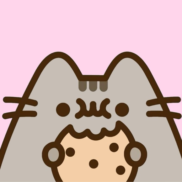 maraschicat
